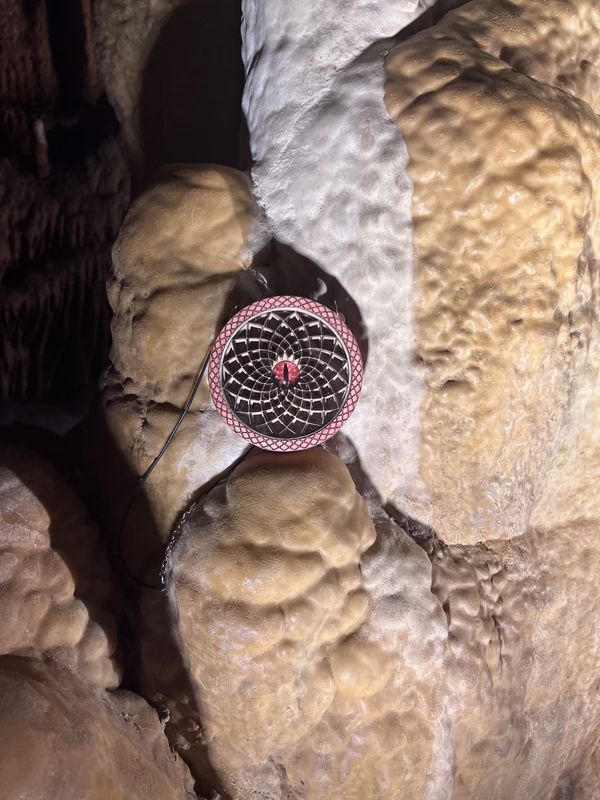 Medallion 4