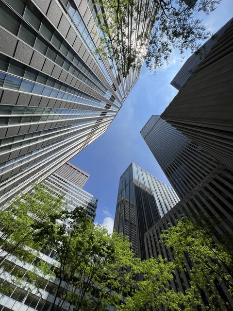 7-F494-A8-A-3-B73-4549-BFAD-4-D4-A7-DEEF