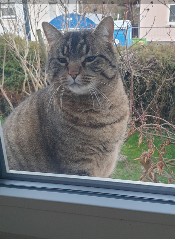 Screenshot 20260307 170046 Gallery