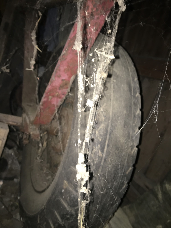 6A478E2D-195B-4C8B-83C7-AC04C218F4CB