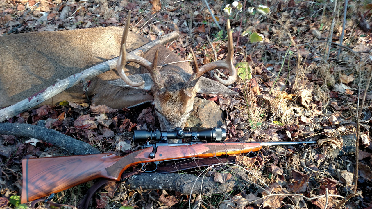 IMG 20151114 080659591