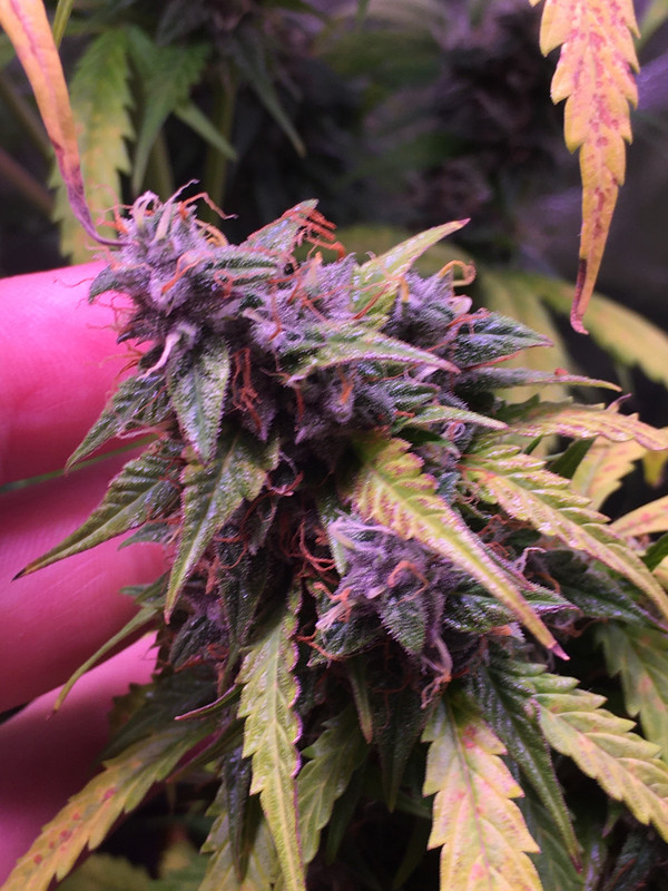 7400D128-ACE2-4C51-86C0-615650842878