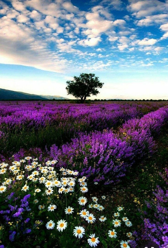 Screenshot_20240425_223028_Pinterest