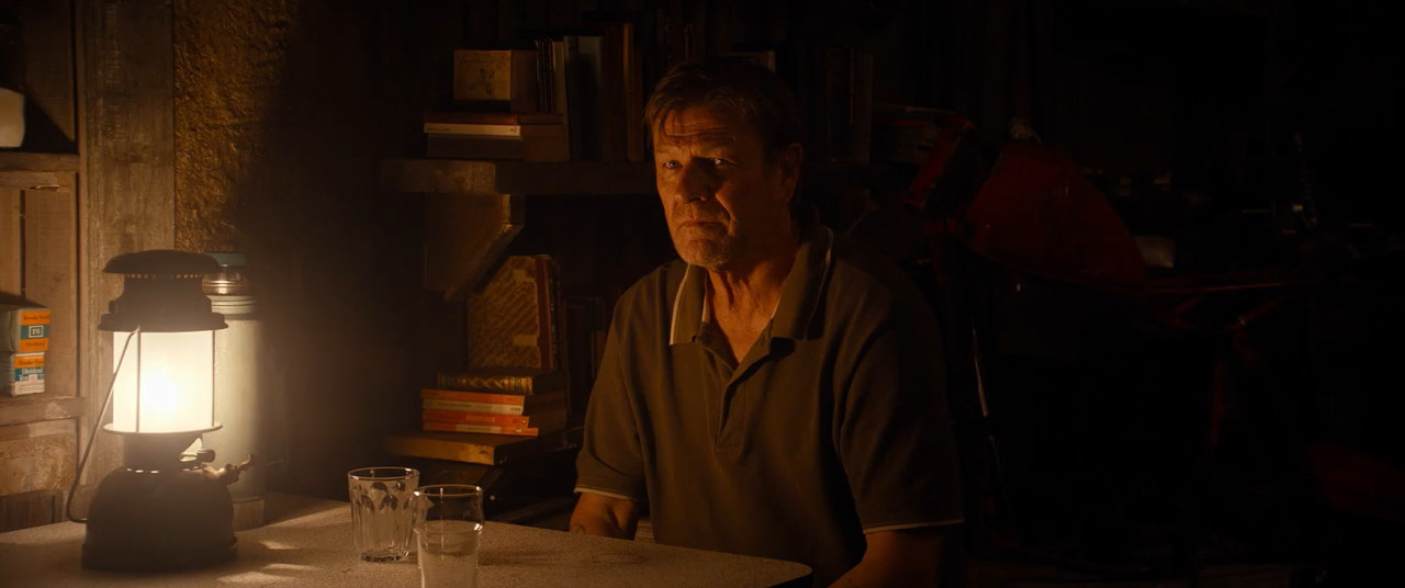Anemone 2025 BluRay [Hindi + English] 480p 720p ESub Screenshot