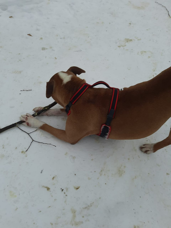 0DE44B43-4BD6-4DB5-91D9-1DC633CC5644