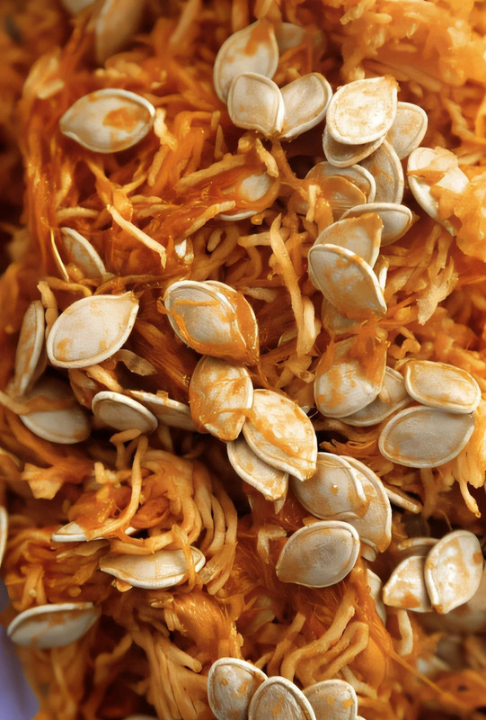 Pumpkin Seeds