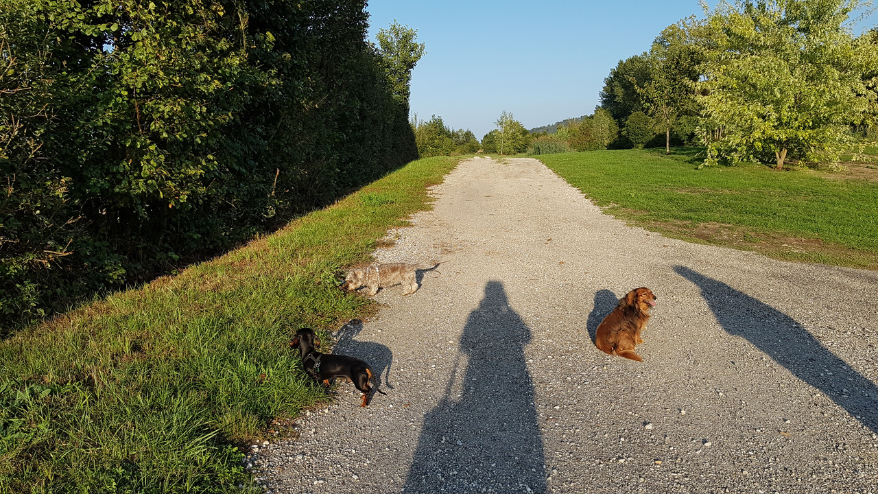 [Image: 20200930-180946.jpg]