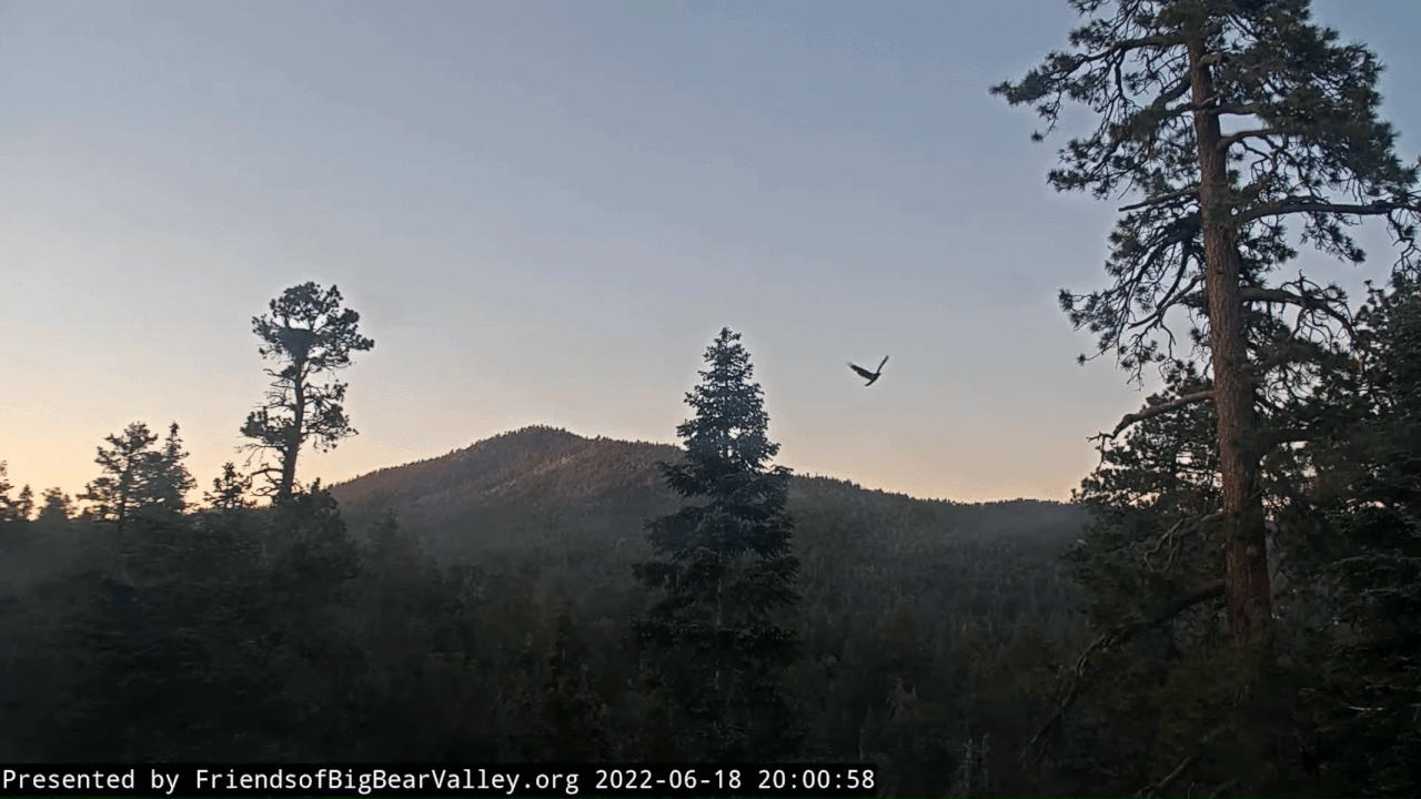 Webp.net-gifmaker (10)