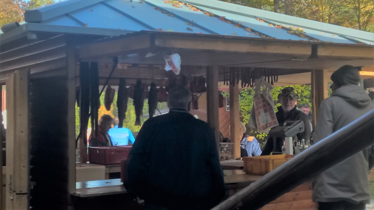 WP_20161101_13_48_38_Rich (2)