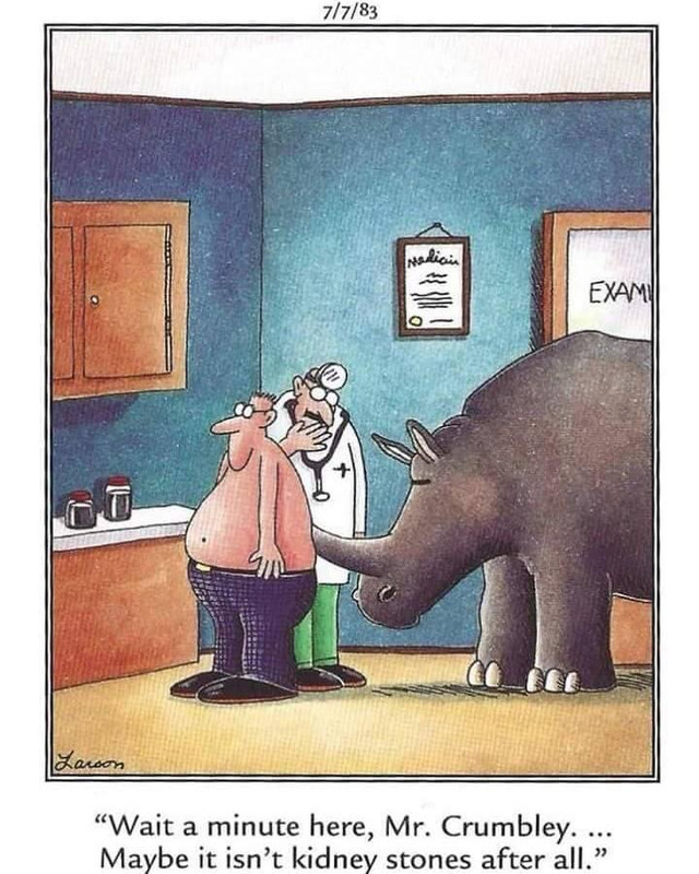 635AB67B-FF08-4F4F-B50C-30BBAAA9E544