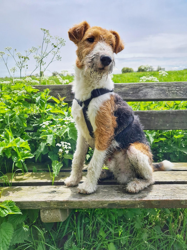 F1938E03-8A17-421C-9393-838D35A35615