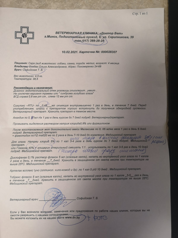 назначения офтальмолога