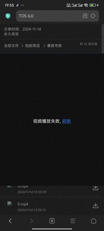 Screenshot_2024-11-14-19-55-32-292_com.android.browser