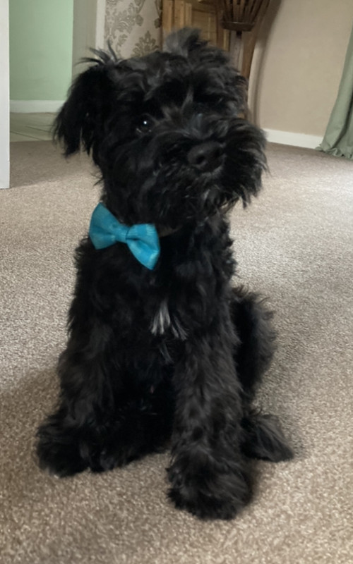 70F27123-AD04-409B-B7C4-DF5DCDC52943