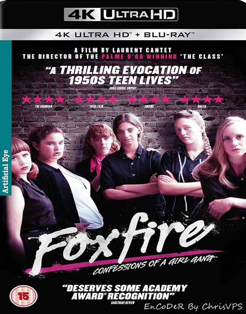 Wtajemniczenie / Foxfire (1996) MULTI.HDR.2160p.BDRemux.PCM.AC3-ChrisVPS / LEKTOR i NAPISY