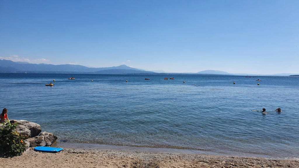 50 sombras del verde en Suiza y Alemania - Blogs de Suiza - MUSEO AL AIRE LIBRE DE BALLENBERG- PLAYA DE ROLLE- VUELTA A CASA (7)