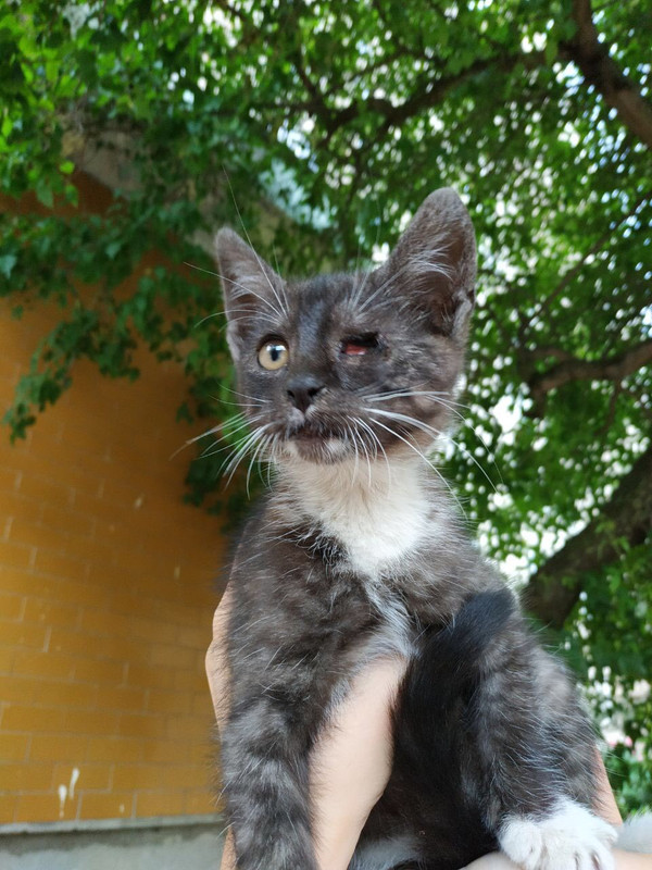 изображение_viber_2019-06-13_15-04-44ч