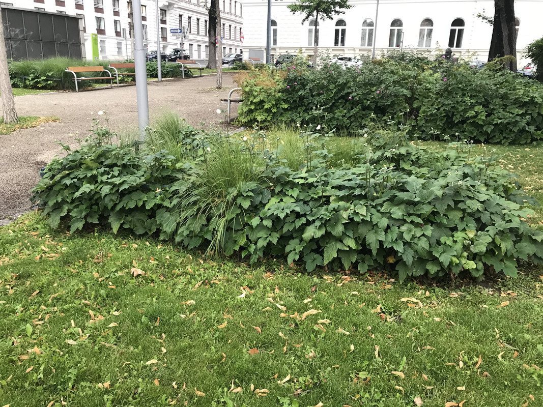 7073783D-6940-4558-91FF-EBFCF68C8F7B