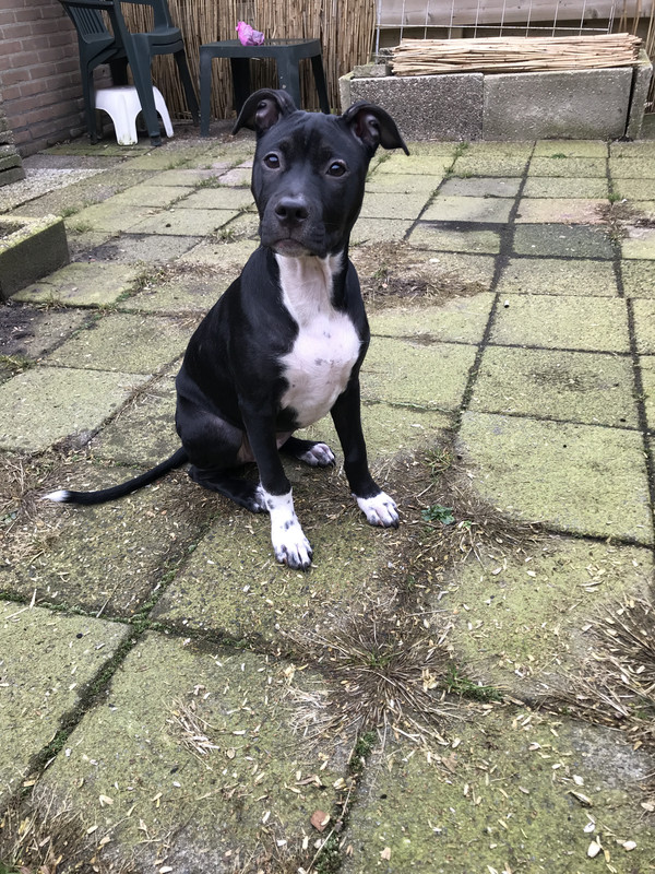 A47B7E9D-7509-44C4-AD68-7630AC79A07D