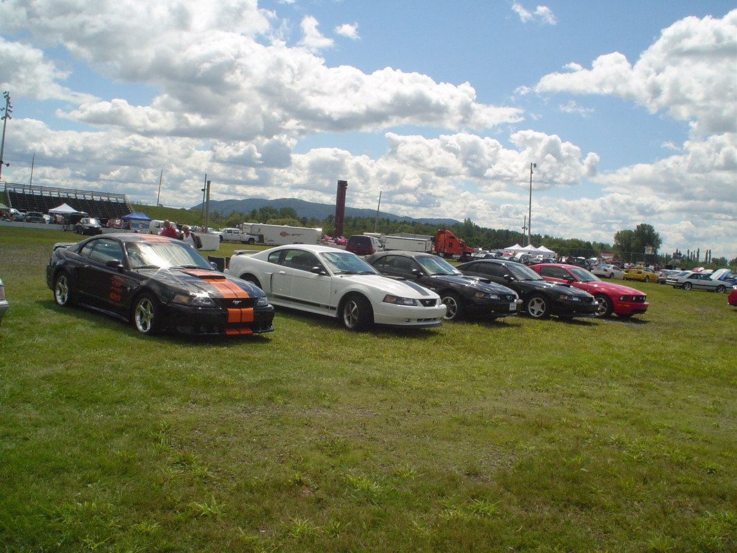 Montréal Mustang: 40 ans et + d’activités! (Photos-Vidéos,etc...) - Page 20 DSC06990