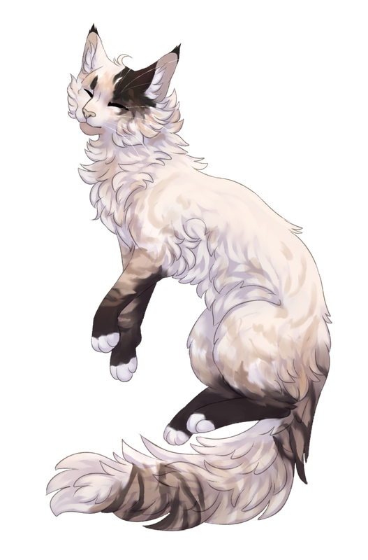 IMG 20260214 203714 876