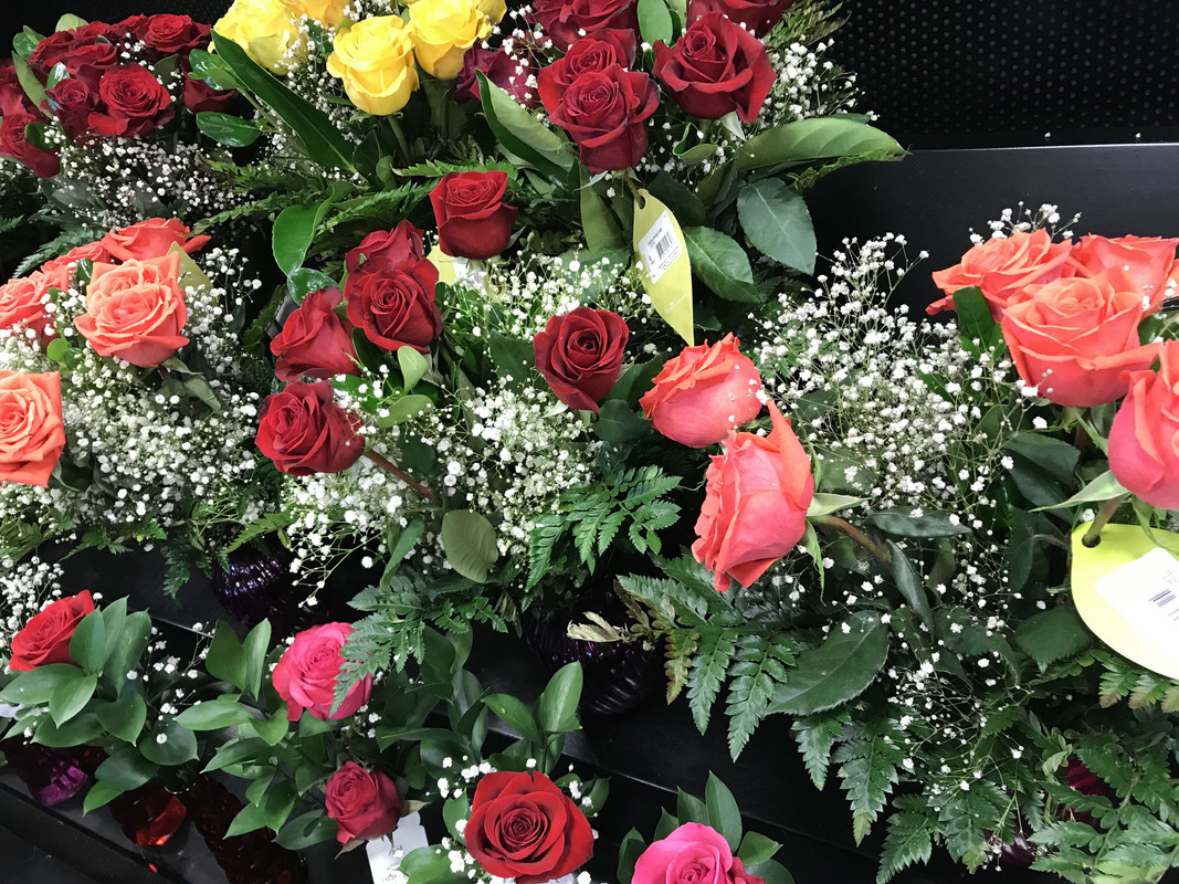 6D7DE039-E5FB-4D74-9C0F-993D27A56CEB