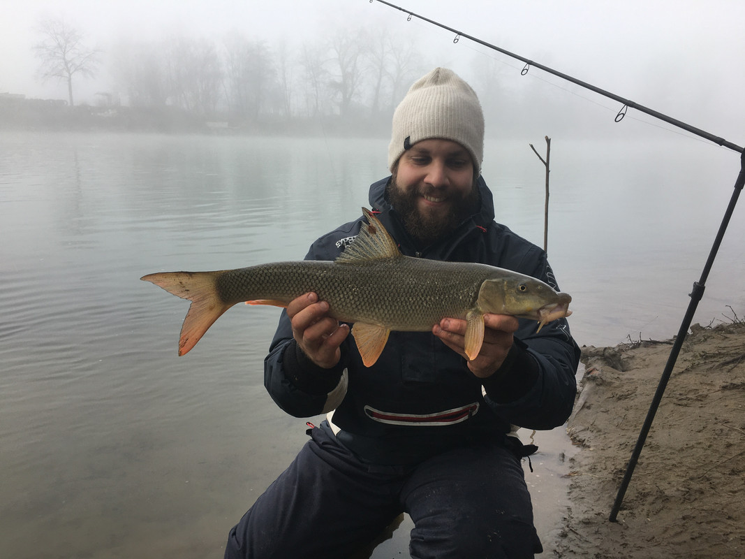 93040F17-461A-4DEC-9D13-1BAC69F6FD65