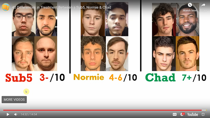 sub5-normie-chad-2.png