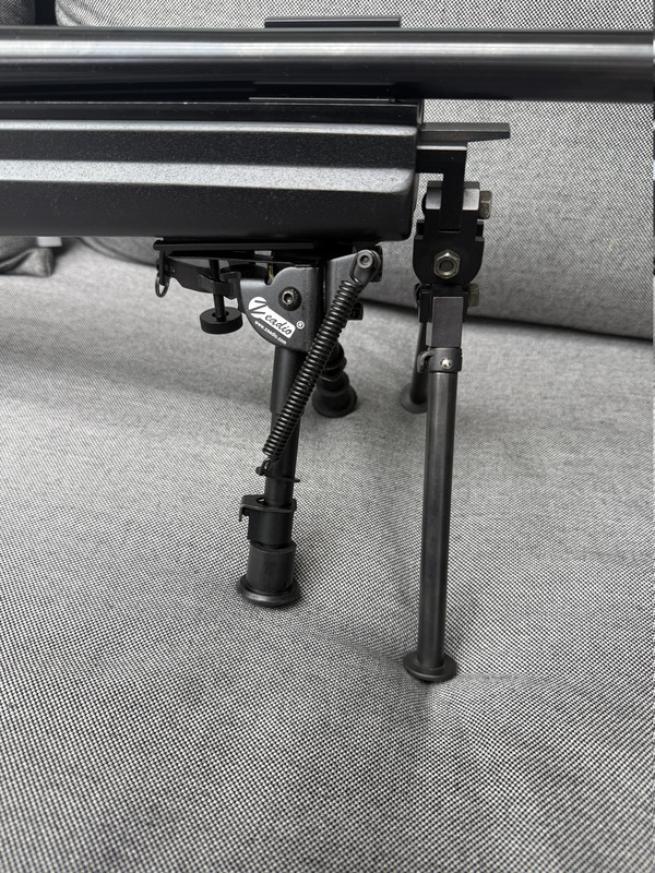 Graviertes Gewehr Ansicht 6