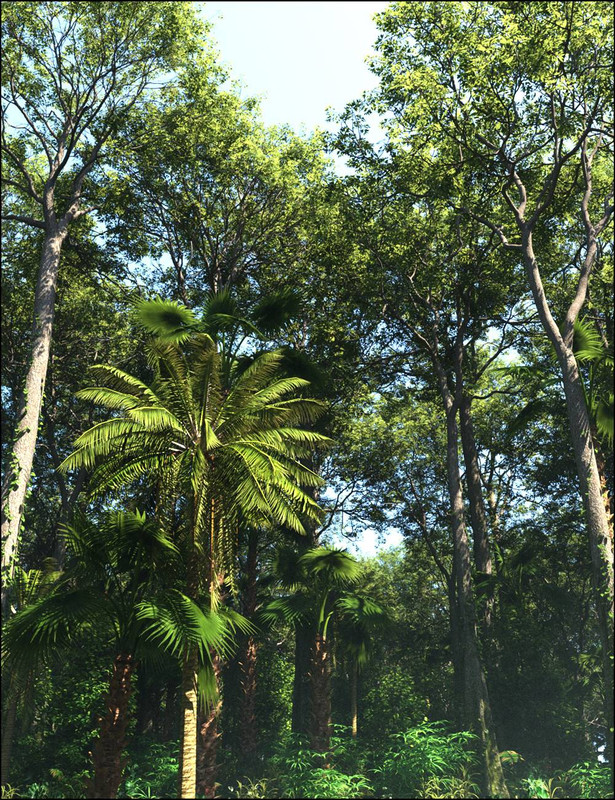 Tropical Botanica - Trees and Shrubs