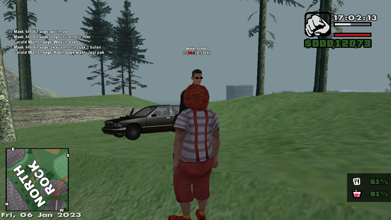 sa-mp-001.png