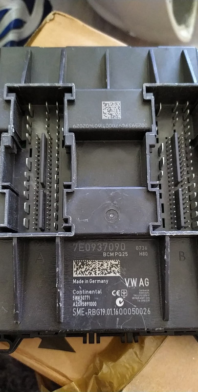 69908333_2421910991413004_5819815041246953472_n