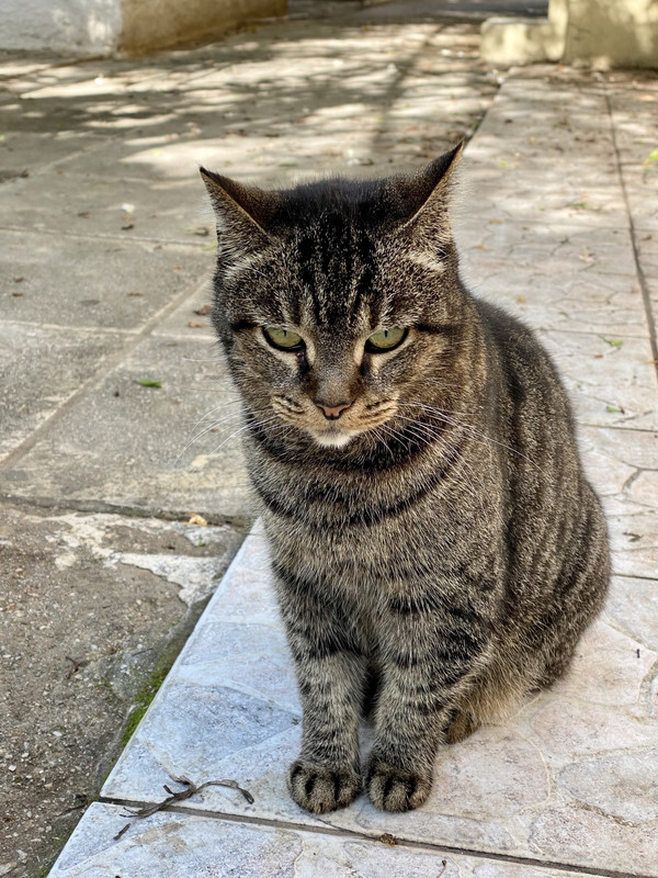 79C4045C-14C6-488A-947D-F2A1E0372B09