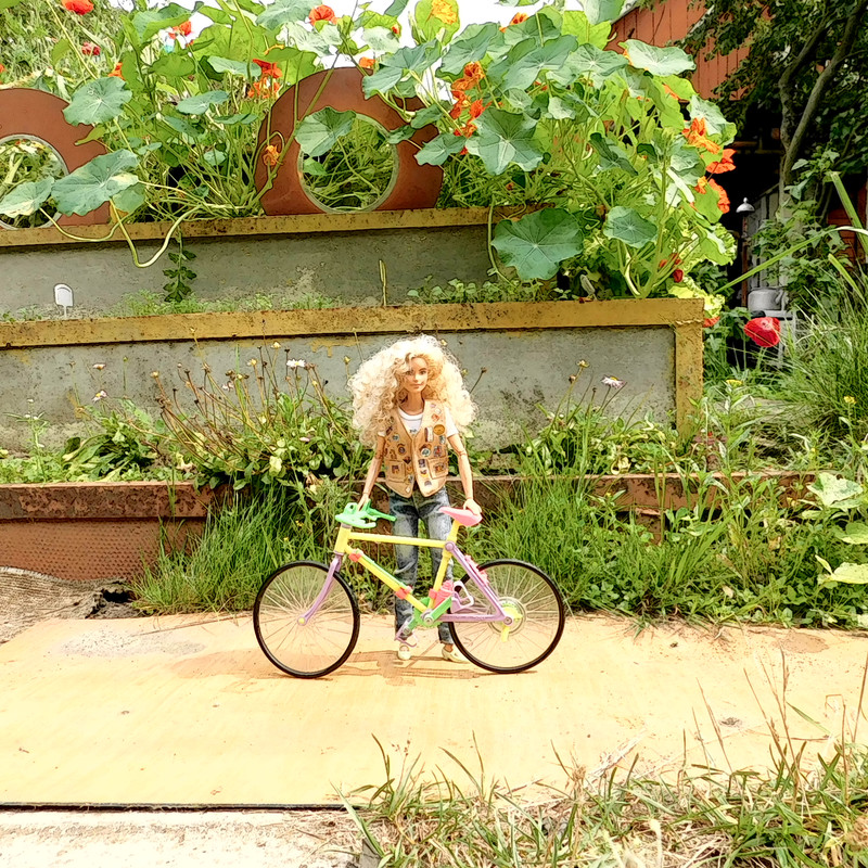 Дачное июль 203 и барби 049