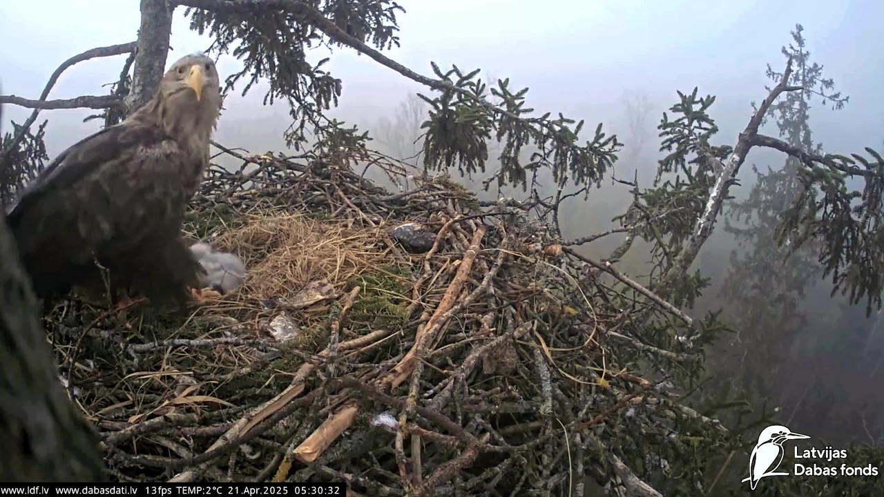 vlcsnap-2025-04-21-07h15m46s796