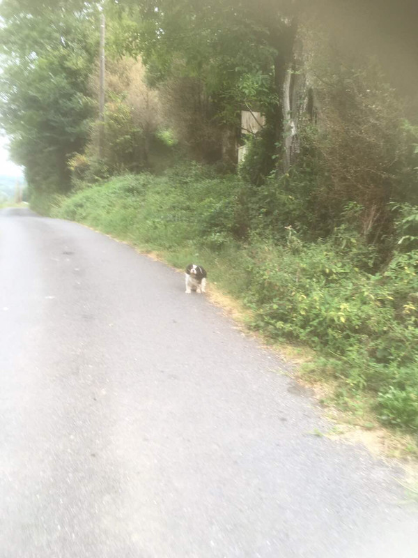 8918444F-95F7-494A-9359-064B9B5672FD