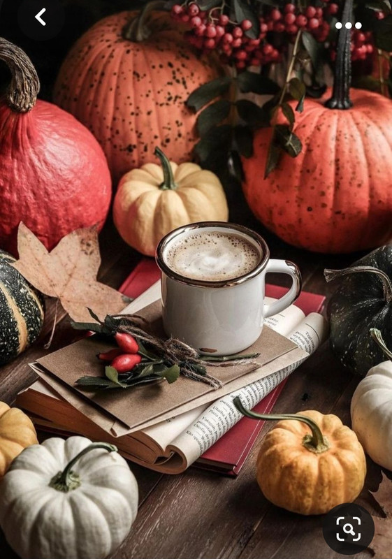 Screenshot_20231031_212900_Pinterest