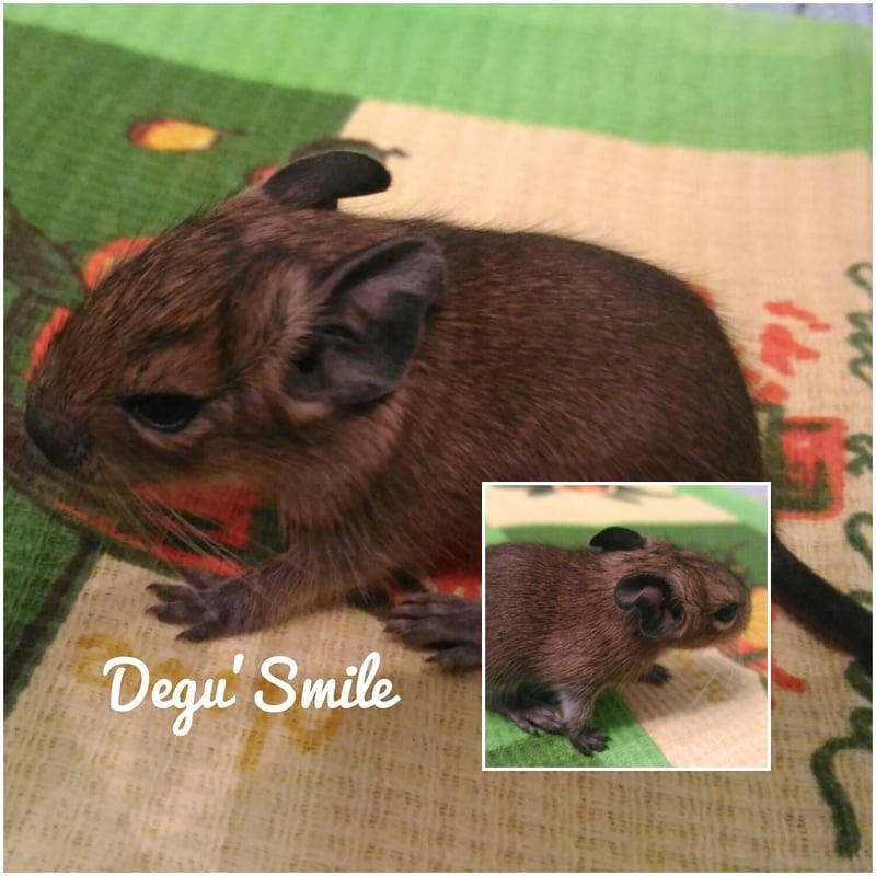 IMG_20170222_232652_025