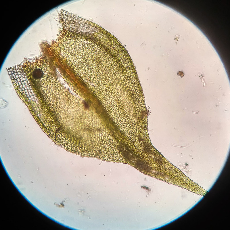 IMG 20250615 221116 HDR