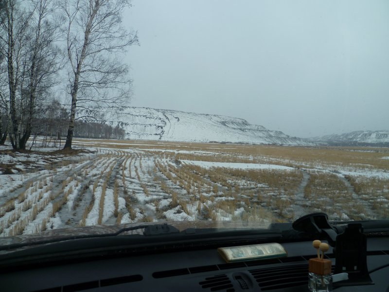 user posted image