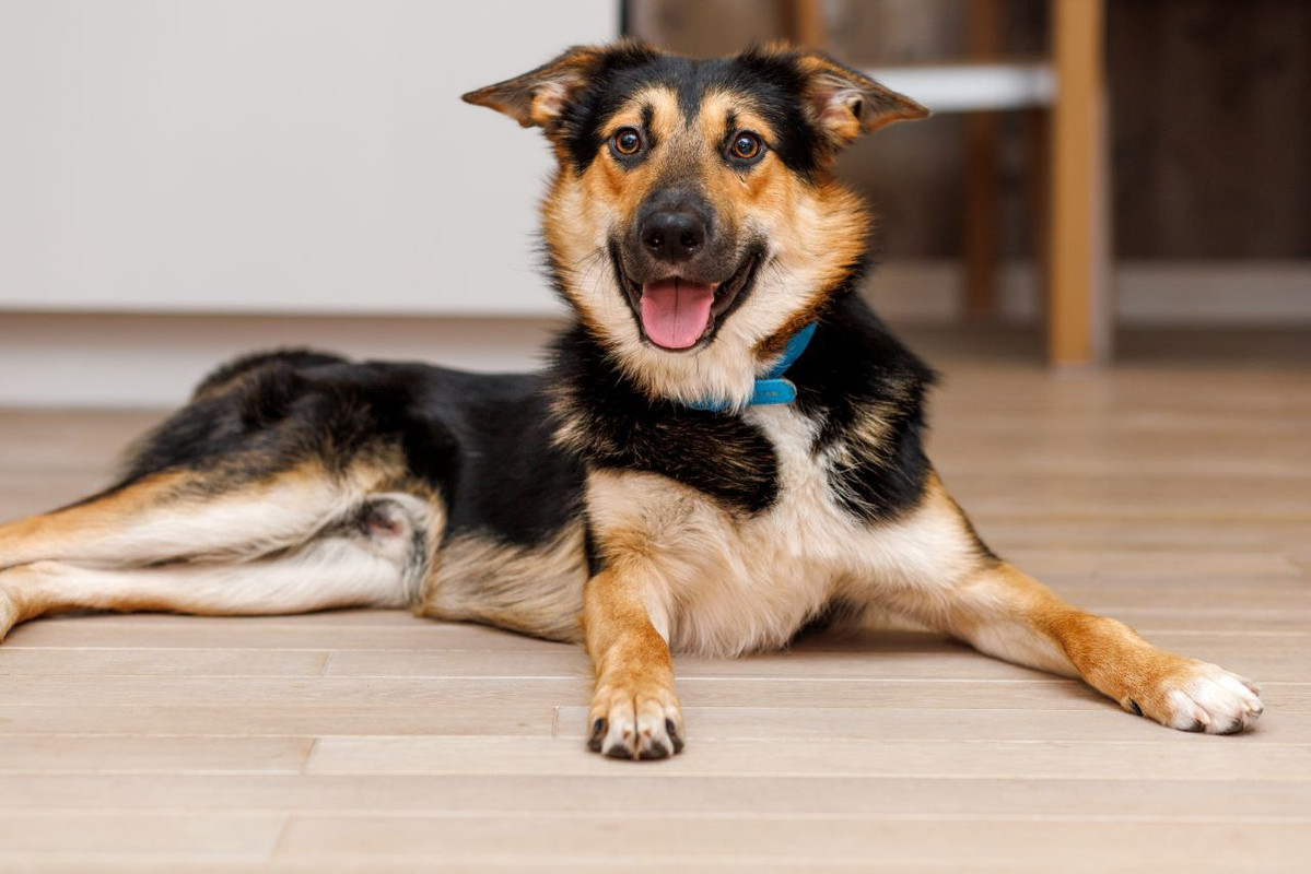 IMG-f15df0a4d0930da2c1411af5e3ee4254-V