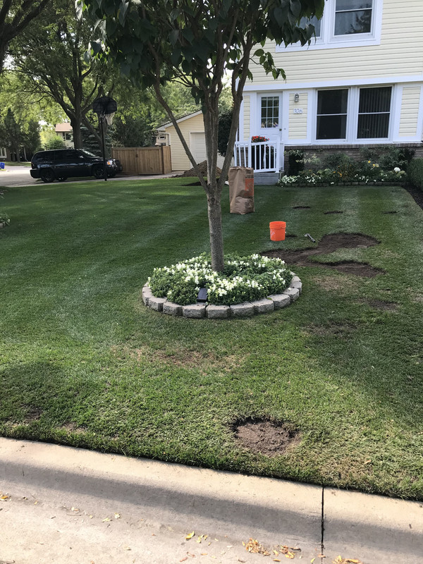 0DB94D34-242A-455E-8295-993D8CB79092