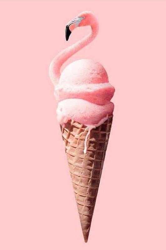 pink-sw-an-cone.jpg