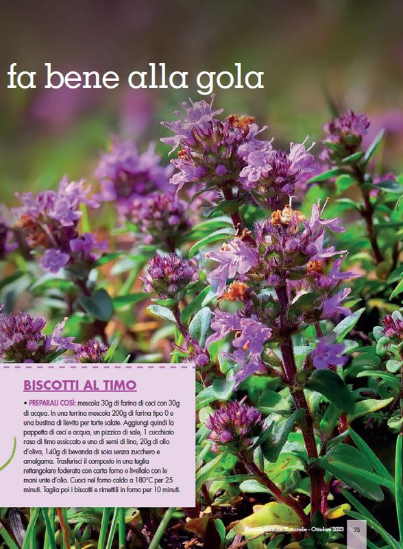 Alim Nat Ott 2023 (12)