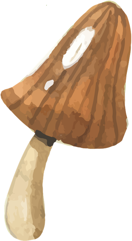 IPD_WP_Element (141)