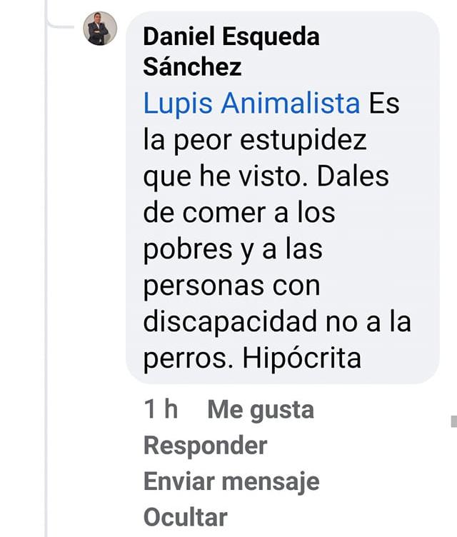 Perritos celebran su posada en refugio animal y se vuelven virales