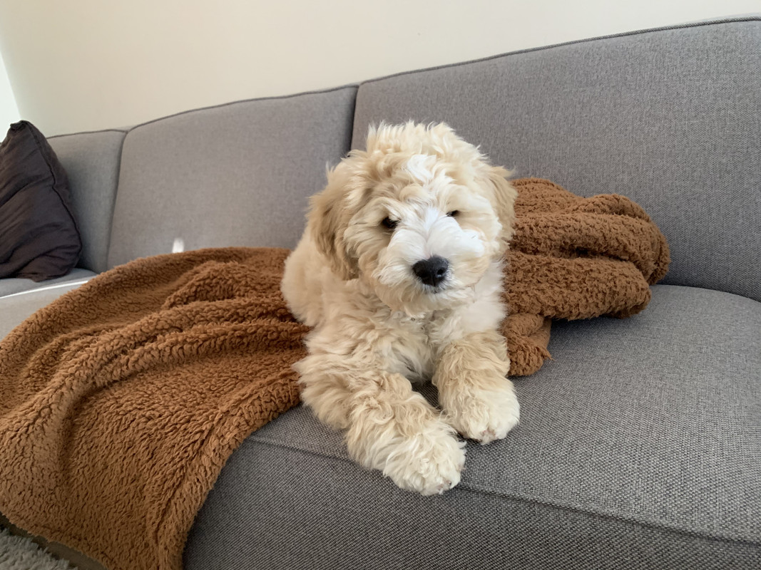 647C7C33-BA06-4125-B095-CCF367EEB07F