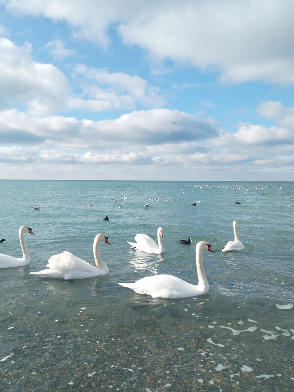 IMG_20240121_143012_edit_285536484363106