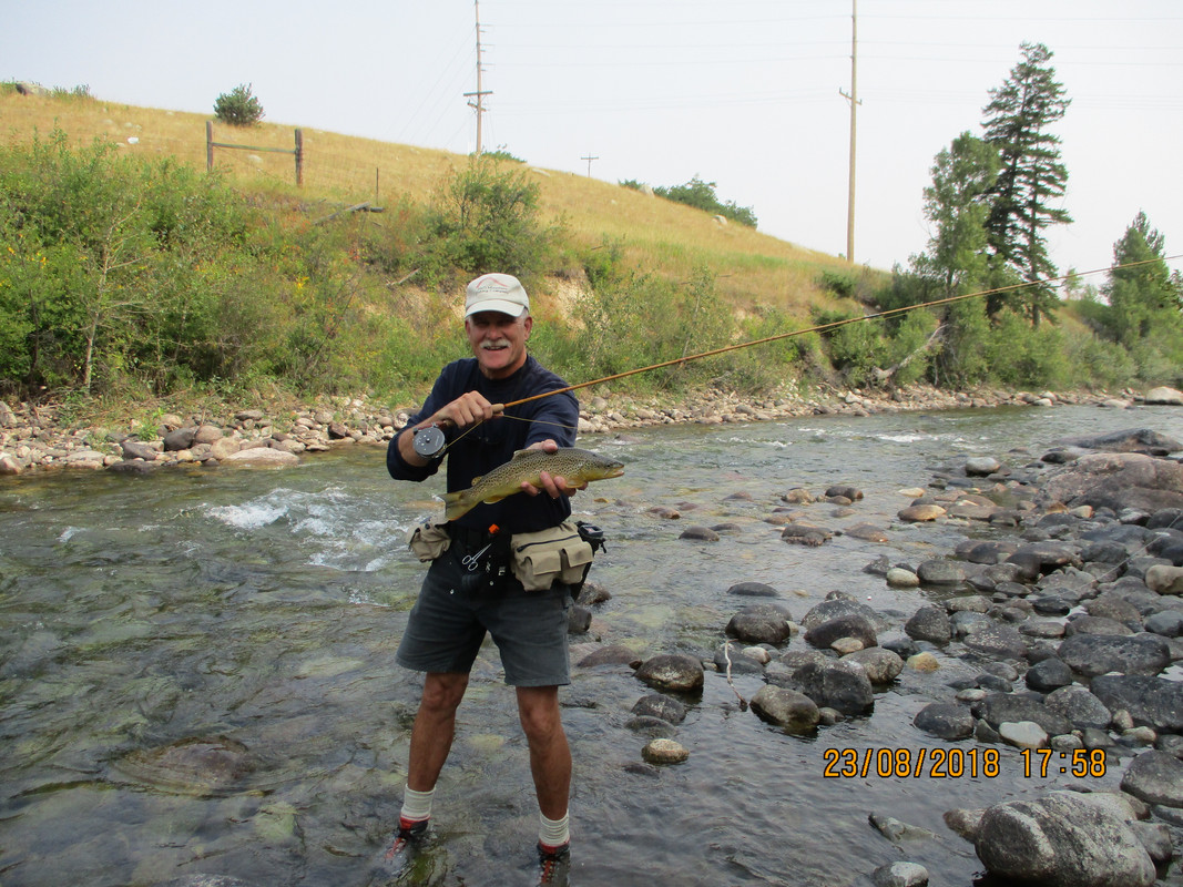 Martha on WB 8-24-18 001