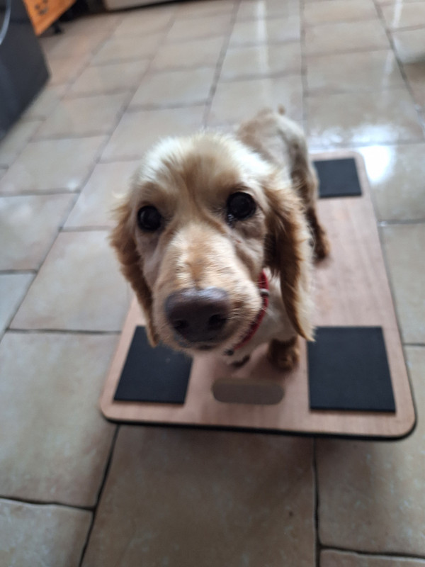 [Image: 20240321-174024.jpg]